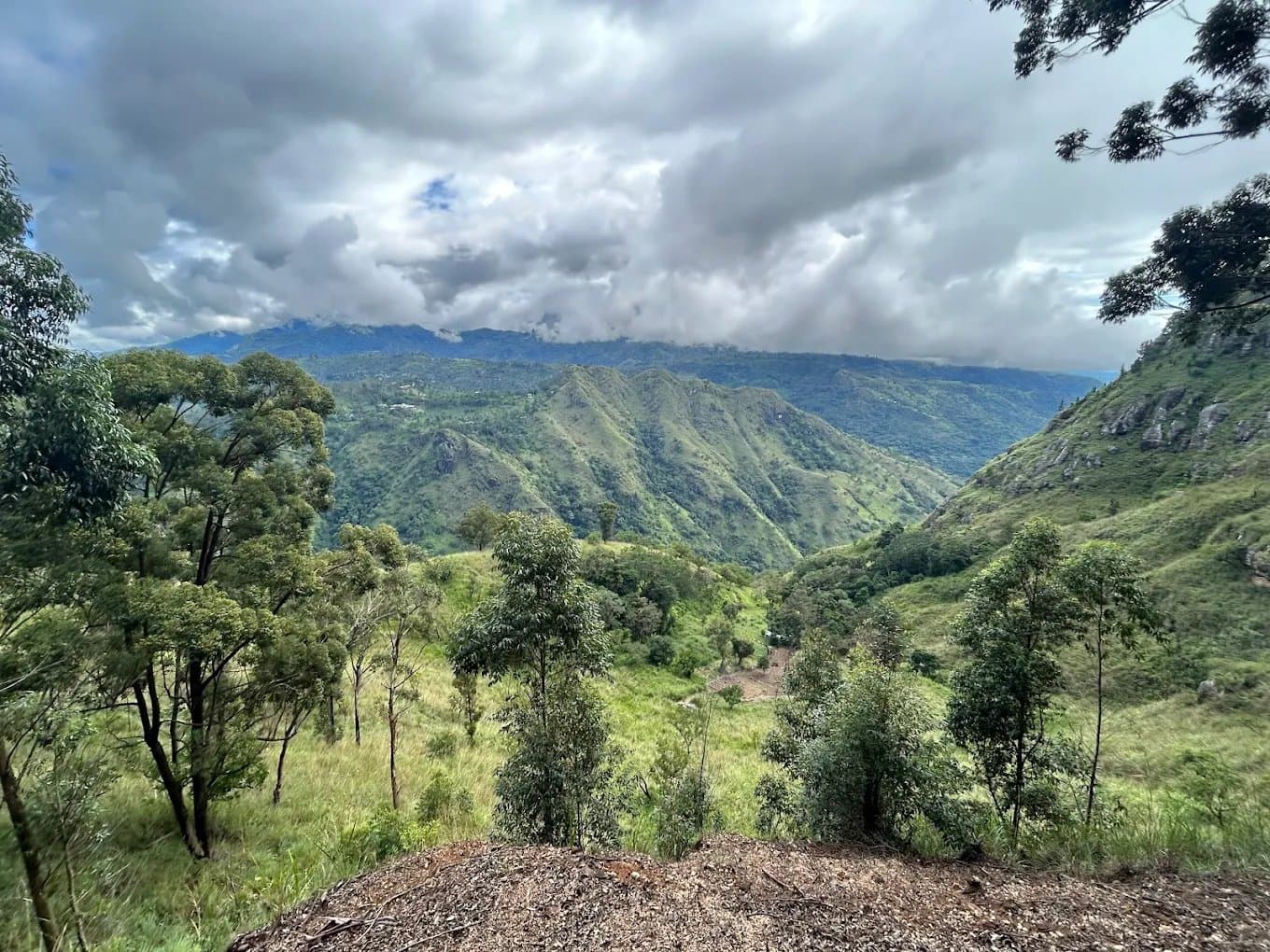 Ella Rock, a 1,041-metre peak in Sri Lanka's hill country