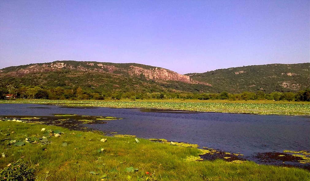 Galgiriya Mountain rising above the dry zone near Galgamuwa